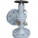 3b. Plug & Cage Choke2