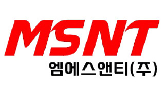 MSNT web logo